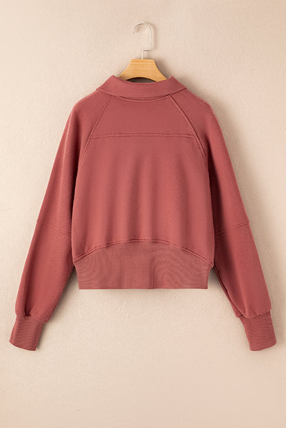 Quarter Zip Flamingo Collar Sweatshirt (S-3XL - 12 Colors)