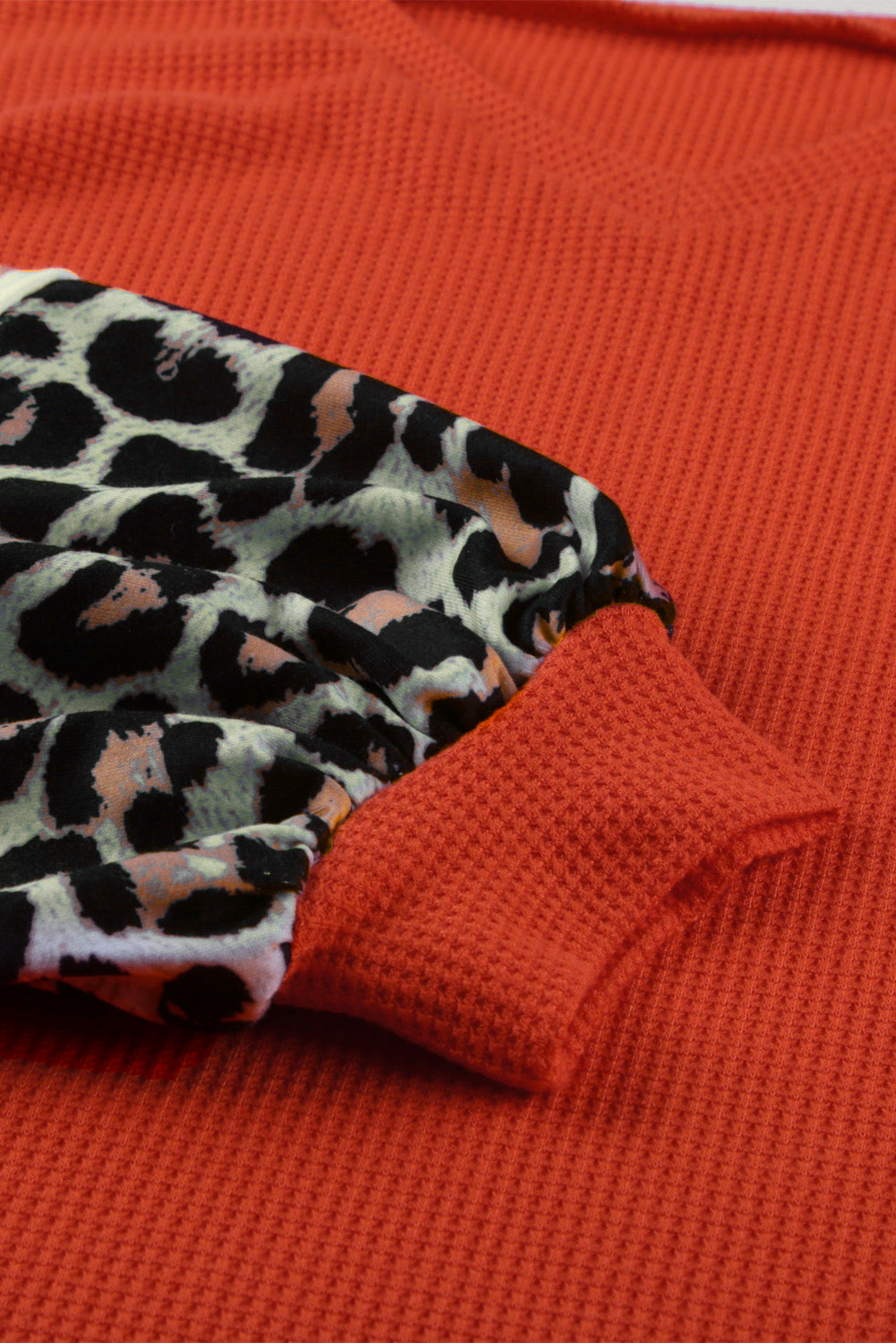 Blank Leopard Color Block V Neck Long Sleeve (S-2XL)