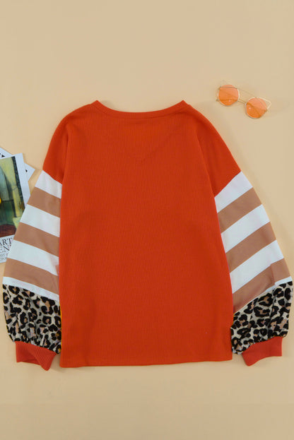 Blank Leopard Color Block V Neck Long Sleeve (S-2XL)